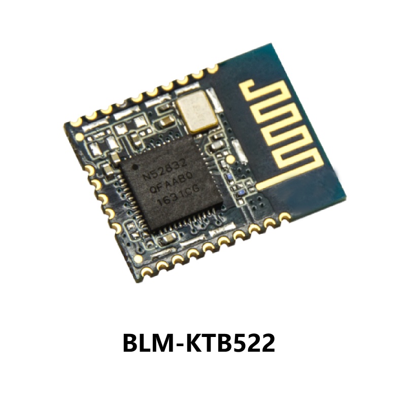 Small Nordic nRF52832 BLE 5.0 Bluetooth SoC module