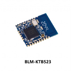 Long Range nRF52832 Bluetooth 5.0 Low Energy Module